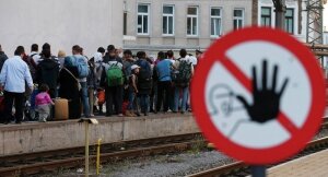 беженцы, Балканы, Ангела Меркель, Австрия, венская конференция