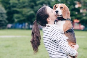 наука, техника, собаки, животные, происшествия, общество, дружба