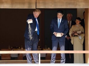 Дональд Трамп, Синдзо Абэ, дворец Акасака, Япония, карпы, корм, курьезы