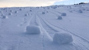 наука, Великобритания снежные роллы фермер аномалия (новости), происшествие