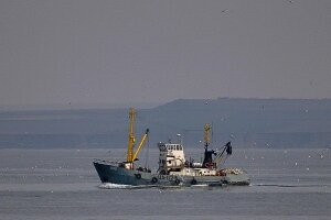 норд, моряки, украина, россия, аукцион, продажа, арест