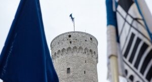 Эстония, поддержала, надо, создание европейской армии, макрон, меркель