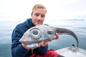 Ландал, Норвегия, рыба, происшествие, общество