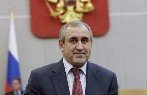 сергей неверов, единая россия, госдума, назначение, биография, политика