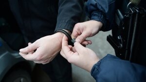 Джеймс Вильгус, музыкант, москва, педофил, совращение, ребенок, лифт, общество, новости россии
