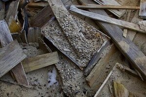 Антарктида, аномалия, происшествия, бочка, кофе, Эвелин Болдуин, полярник
