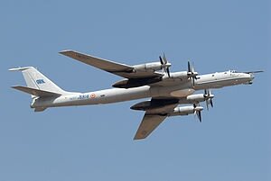 великобритания, медведь, самолет, россия, воздушная граница, ту-142