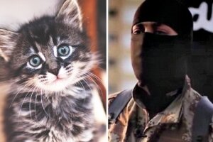 ИГИЛ, джихадисты, новички, котята, сладости, радикализация, Интернет, фанатики