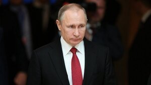 сша, политика, россия, путин, консерваторы, трамп, белый дом