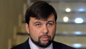 Денис Пушилин, Петр Порошенко, Украина, Киев, протест, митинг, реакция