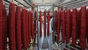 подмосковье, россия, происшествия, колбаса, экспертиза, человечина, днк человека, шок, общество, продукты