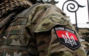 Украина, Правый сектор, Крым, Украинская добровольческая армия, Елена Билозерская, партизанская война