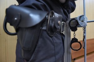 москва, полиция, насильник, соседи, спугнули, криминал, россия, девушка, улица Озерная
