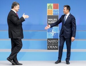 Порошенко, Украина, НАТО, политика