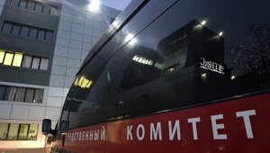 Урал, Свердловская область, подростки, школьник, изнасилование, следствие, ответственность