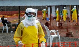 лихорадка эбола, новости россии, медицина