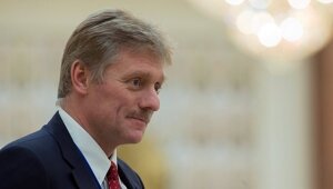 Владимир Путин, Дмитрий Песков, статья, реакция, оскорбление, Германия, Фокус, Focus