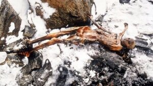 наука,технологии,общество,происшествия,мнение,отци,альпийский человек