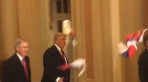 сша, трамп, конгресс, российские флаги, провокация, политика, видео