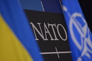 Украина, НАТО, альянс, МИД Польши, политика, Витольд Ващиковский