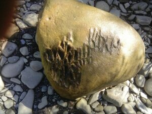 наука, технологии, происшествие, исторические открытия (новости), биоглифы, Краснодарский край