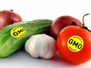 ГМО, исследования, анализ, наблюдение, здоровье