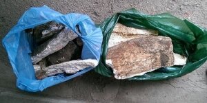 наука,технологии,общество,происшествия,мнение,общество,история,мамонт,бердянск