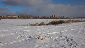 красноярск, россия, происшествия,кама, памятник ивану грозному, окровавленный кол, спилили памятник, фото