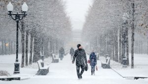 россия, москва, первый снег, синоптики, метеорологи, глобальное потепление