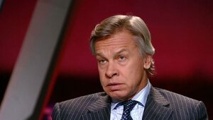 Алексей Пушков, закон, Донбасс, особый статус, реинтеграция, Украина