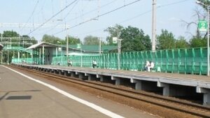 россия, москва, царицыно, изнасилование на станции
