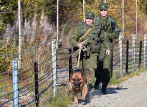 Россия, Украина, нападение, пограничники, ФСБ, украинец, прорыв, Курская область, пистолет, гранаты