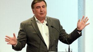саакашвили, грузия, выборы, парламент, граница, арест, приезд, новости мира
