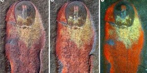 наука,технологии,общество,происшествия,в,Марокко,нашли,останки,уникального,моллюска,возраст,которого,достигает,480,миллионов,лет 