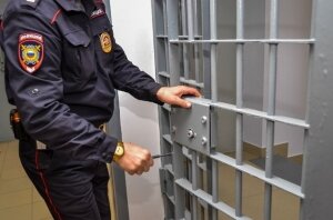 Россия, полиция, Серпухов, общество, Украина, происшествие ,наркотики, мефедрон