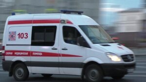 россия, волгоградская область, хутор, красный, школьник, оружие, яд, бензин, отравление