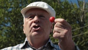 россия, подмосковье, деревня гномов, экология, министерство природных ресурсов, владимир жириновский, сергей донской