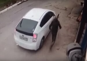 девушка-автомобилист, собака, хозяин, наехала, раздавила, владивосток