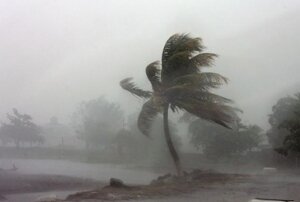 Мексика, ураган "Долорес", происшествия, стихия, природные катастрофы, общество