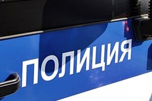 новости, криминал, мвд, происшествия, россия, общество, мвд, ирина волк
