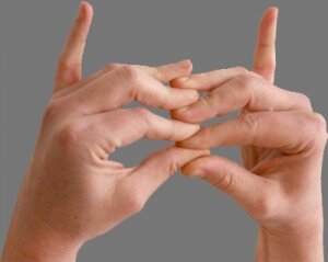 наука,технологии,общество,палец,длина,профессия,хобби