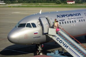 новости россии, происшествия, дебош, беспорядок, сочи, москва, самолет, рейс, аэропорт