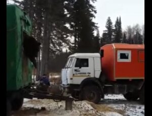 россия, югра, ханты-мансийский округ, нижневартовское, медведь, камаз, спасение, снотворное