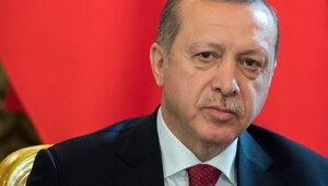 турция, обсе, эрдоган, политика, референдум