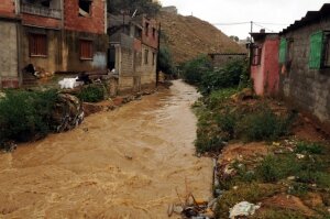 алжир, наводнения, жертвы, погибшие