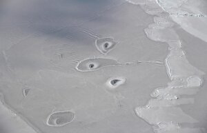 Северный Ледовитый океан, круги, моря Бофорта, гляциолог, река Маккензи, лед, вода, Национальном информационном центре снега и льда , потепление