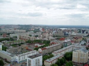 новости, дом, котенок, общество, происшествия, россия, спасатели