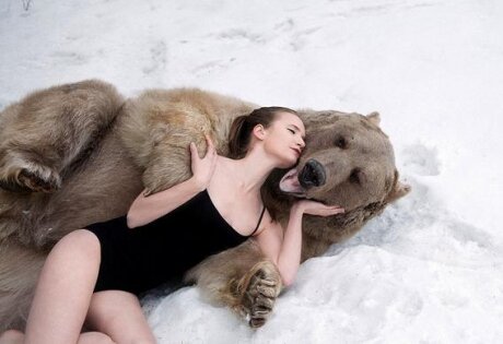 россия, модели, медведь, фото, 