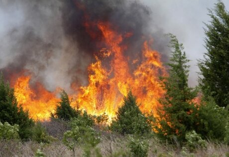 лесной пожар, следователи, Сан-Бернардино, Южная Калифорния, эвакуация, Сан-Фпанциско, поджигатель